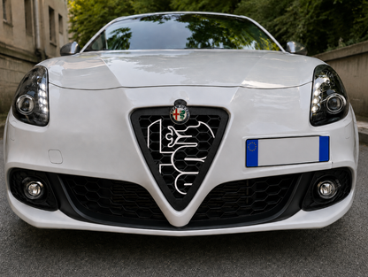 Griglia Scudo anteriore Nido D'Ape Per Alfa Romeo Giulietta new biscione